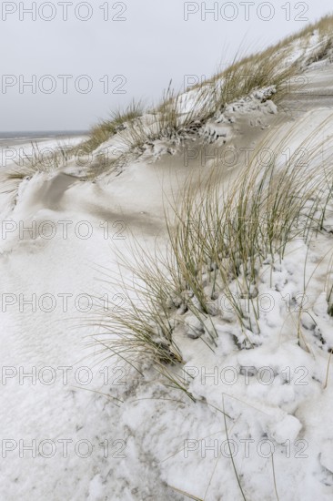 Snow-covered dunes on the North Sea beach, Langeoog, Lower Saxony, Germany
