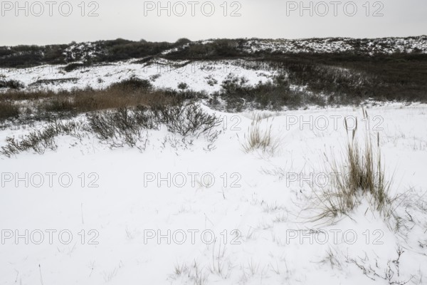 Dune landscape in snow, Langeoog, Lower Saxony, Germany