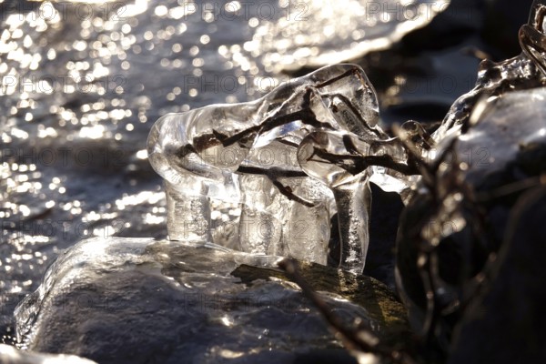 Ice on a lake on the shore, winter, Germany