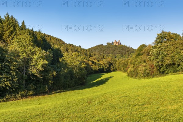 View over green meadows and forests to the ruins of Hanstein Castle, Bornhagen, Eichsfeld, Thuringia, Germany