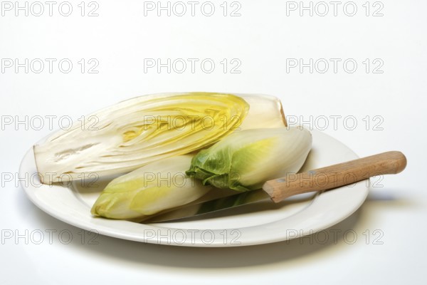 Chicory, chicory salad on plate with knife