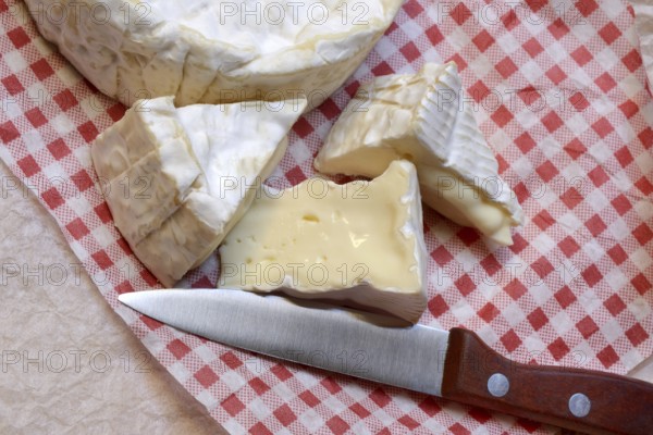 French Camembert in pieces, France