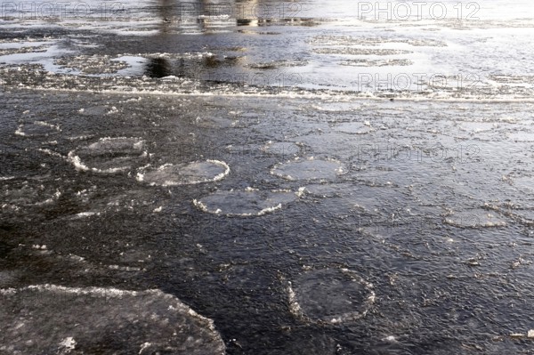 Elbe with ice, winter, Dresden, Saxony, Germany