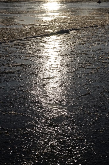 Elbe with ice, winter, Dresden, Saxony, Germany