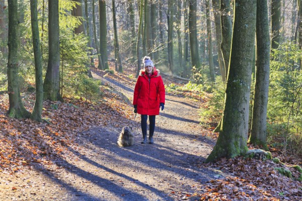 Woman walking through the winter forest with dog, back light