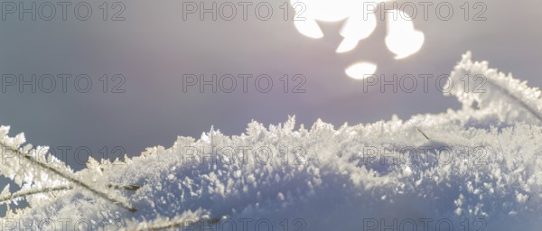 Close-up of sparkling snow and ice in sunlight with a blurred background that the light makes glow in soft colors, rainbow, light refraction on water, calm scene with bokeh, detailed view of ice crystals, snow, blades of grass, soft pastel colors, light spots, light reflections, hoarfrost, frost, icy, sunny, structure, structures, backlight, cold, nature, shimmer, points of light, beauty, peaceful, calm atmosphere, Ilmenau river, Lower Saxony, Germany