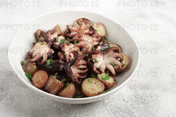 Baby grilled octopus with golden baked potatoes and fresh herbs, Maltese cuisine, homemade, no people