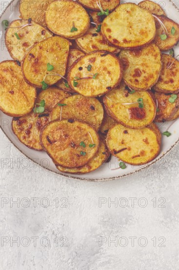 Crispy potato slices, with parmesan cheese and spices, fried in the oven, homemade, no people