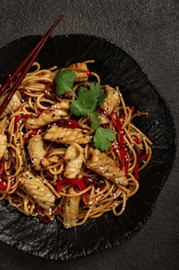 Udon noodles, with squid and vegetables, on a black plate, homemade, no people