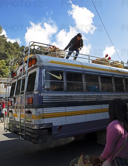 Gualtemalan man packs baskets with chickens on the roof of a bus, market in Sololá, Highlands, Sololá Department, Guatemala