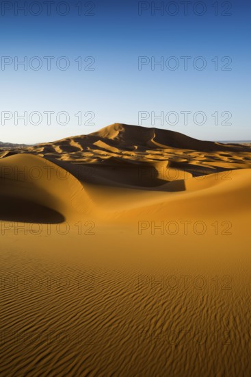 Sand dunes, sunset, near Merzouga, Meknès-Tafilalet region, Erg Chebbi, northern Sahara, Morocco