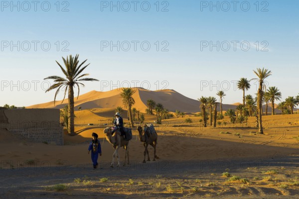 Tourists on dromedaries in the desert, near Merzouga, Meknès-Tafilalet region, Erg Chebbi, northern Sahara, Morocco