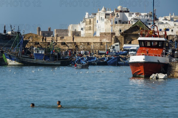 Fishing boats, fishing port, Essaouira, UNESCO World Heritage Site, Atlantic coast, Morocco