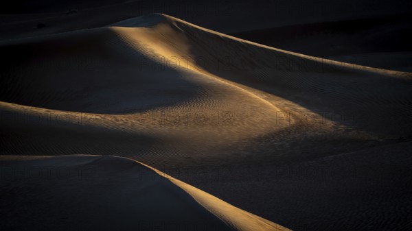 Sand dunes in the Rhub al Khali desert, empty quarter, largest sandy desert in the world, Oman