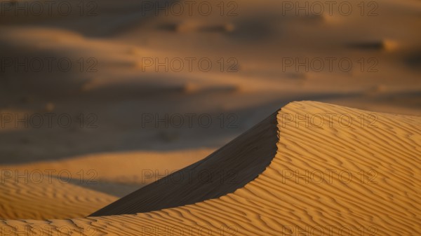 Sand dunes in the Rhub al Khali desert, detailed view, empty quarter, largest sandy desert in the world, Oman