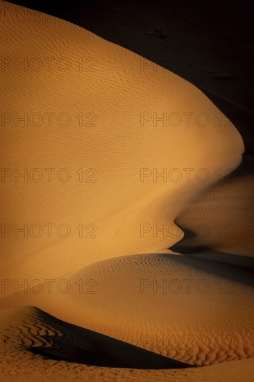 Sand dunes in the Rhub al Khali desert, detailed view, empty quarter, largest sandy desert in the world, Oman
