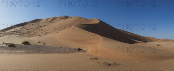 Sand dunes in the Rhub al Khali desert, empty quarter, largest sandy desert in the world, Oman