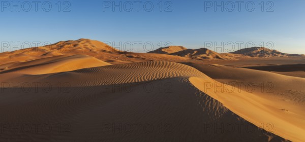 Sand dunes in the Rhub al Khali desert, empty quarter, largest sandy desert in the world, Oman