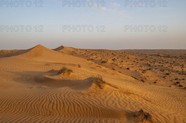 Sand dunes in the Wahiba Sands desert, Oman