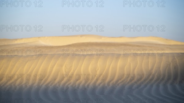 White sand dunes in the Khaluf Desert, Oman
