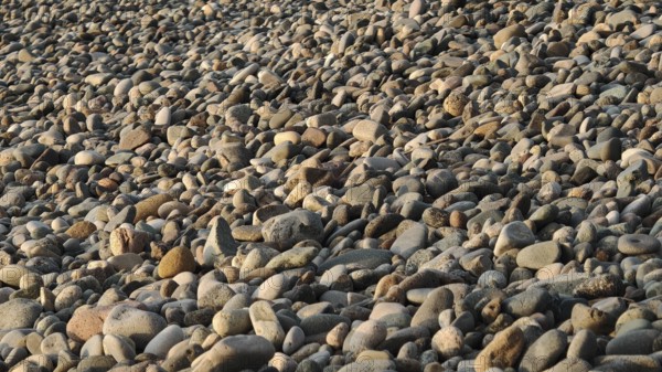 Pebble beach with a variety of stones and pebbles in brown and gray tones, Batumi, Georgia
