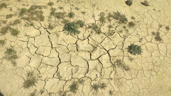 Dry desert landscape with cracks in the soil and scattered plants, fishing trail, Portugal