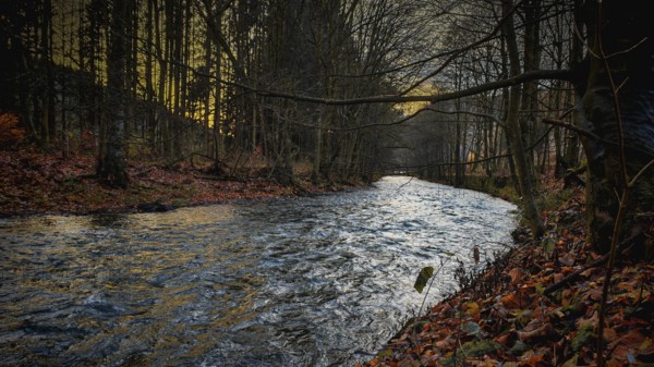 Romantic river landscape at dusk with autumnal atmosphere and calm water, Franconian Forest, Germany