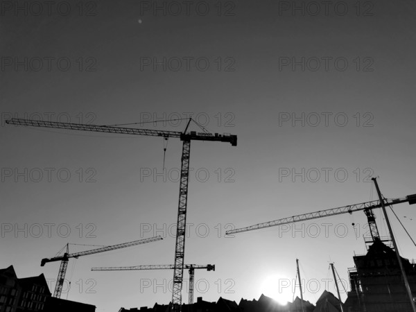 Silhouette of construction cranes against a bright sky at sunset, black and white, Gdansk, Poland