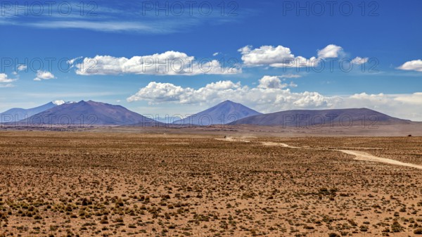 Wide desert landscape with distant mountains and slightly cloudy sky, The landscape of the Altiplano in Bolivia
