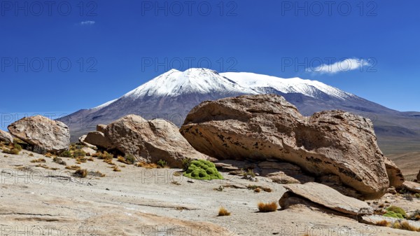 Rocks in desert area with a snow-covered mountain in the background under bright blue sky, The landscape of the Altiplano in Bolivia