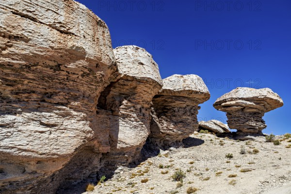 Impressive rock formations rise in the vast desert landscape under a cloudless sky, The landscape of the Altiplano in Bolivia