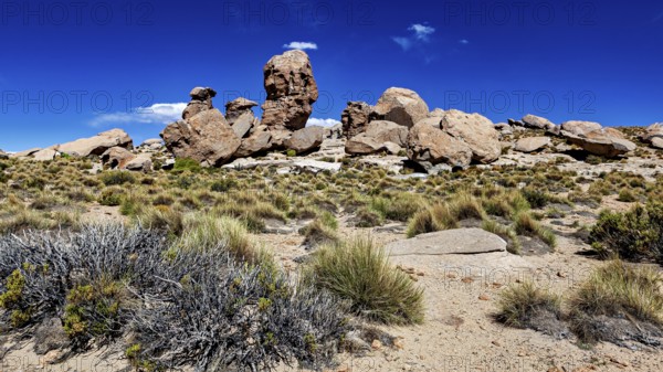 Dry landscape with tall grass and impressive rock formation under a cloudless sky, The landscape of the Altiplano in Bolivia