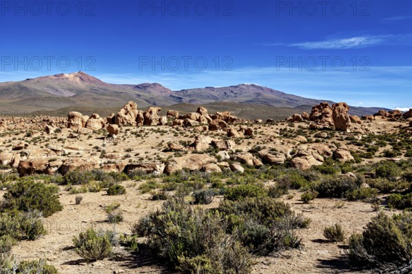 Barren desert landscape with scattered rocks and isolated plants, surrounded by mountains, The landscape of the Altiplano in Bolivia