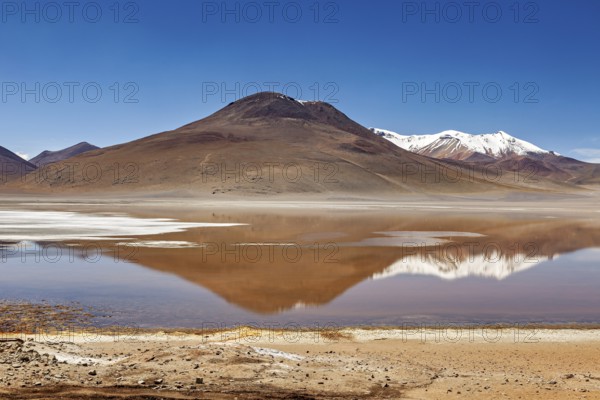 Lonely mountain landscape with reflecting lake and snow-capped peaks under clear skies, Laguna Colorada in Altiplano in Bolivia