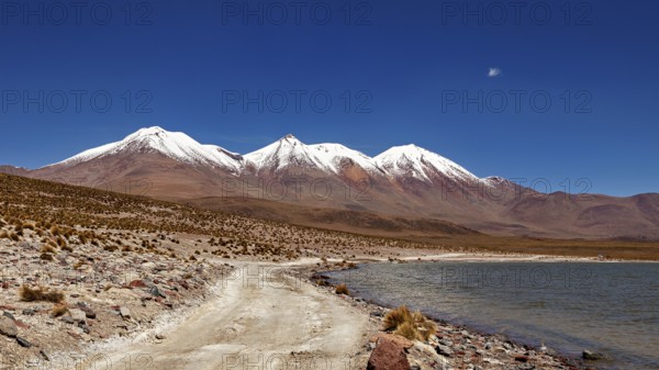 A snow-capped mountain towers over a lake with a desert road that snakes through the barren landscape, The Laguna Colorada in the Altiplano in Bolivia