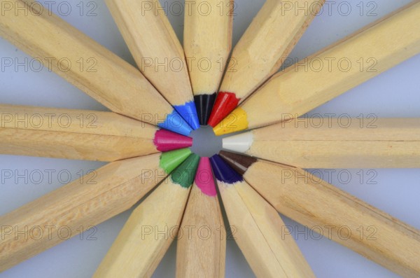 Wooden colored pencils. Pencil nibs