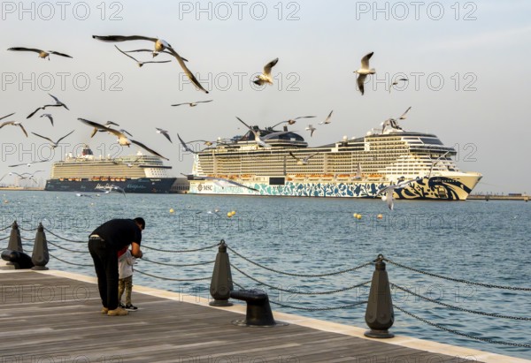 Mina District across from the cruise terminal, locals and tourists feed the seagulls, Doha, United Arab Emirates, Western Asia