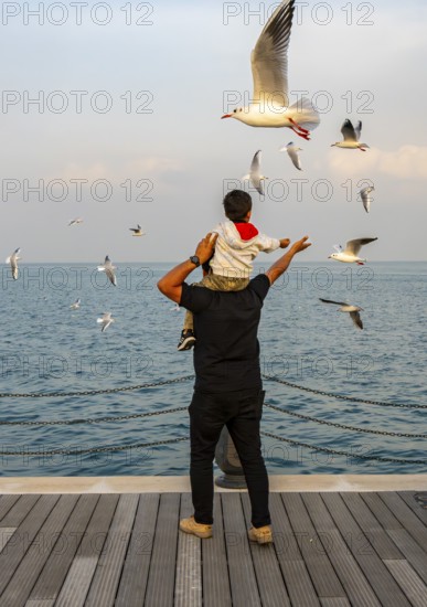 Mina District across from the cruise terminal, locals and tourists feed the seagulls, Doha, United Arab Emirates, Western Asia