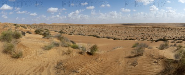 Sand dunes in the Wahiba Sands desert, Oman