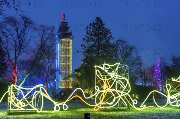 Park lights, events in winter, in the Grugapark in Essen, many different light installations, across the park, attract many thousands of visitors, North Rhine-Westphalia, Germany