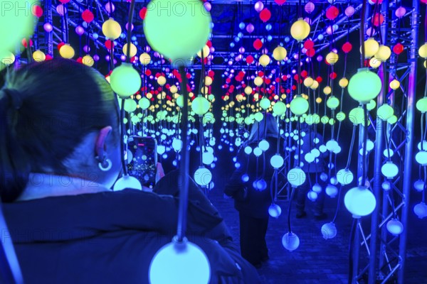 Park lights, winter event, in the Grugapark in Essen, many different light installations, across the park, attract many thousands of visitors, light work of art consisting of many hundreds of hanging ball lamps, LEDs, with changing colors, accessible, North Rhine-Westphalia, Germany
