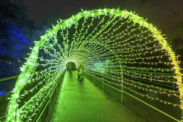 Park lights, events in winter, in the Grugapark in Essen, many different light installations, across the park, attract many thousands of visitors, Lichttunnel North-Rhine Westphalia, Germany