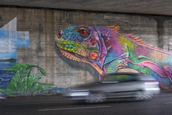 Colourful graffiti, mural, iguana or lizard in rainbow colors, in a motorway bridge underpass of the A52, in the Breitscheid junction, B227, Kölner Straße, in Ratingen-Breitscheid, artist Brosart Design, North Rhine-Westphalia, Germany