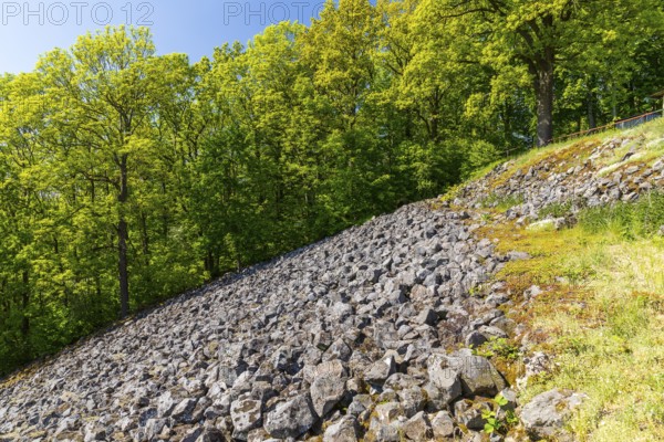Steinernes Meer natural monument, Großer Berg in Großhennersdorf, Herrnhut, Upper Lusatia, Saxony, Germany