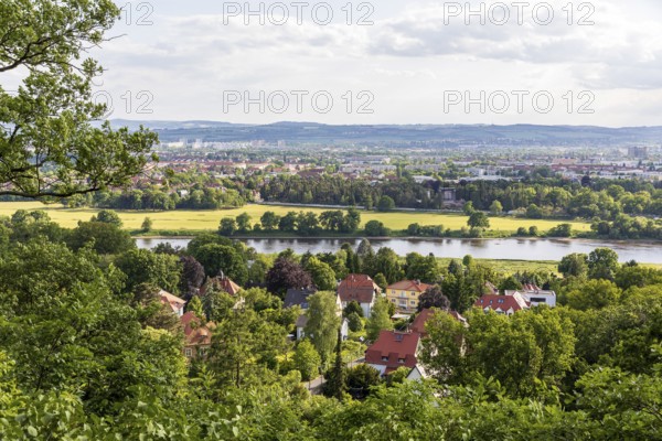 View of the Elbe and Dresden, Royal Vineyard Wachwitz, Dresden, Saxony, Germany
