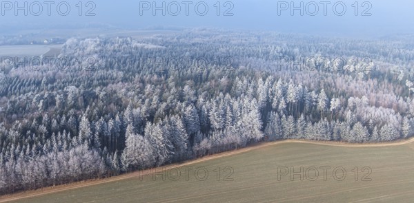 Winter forest aerial view of a mixed forest with spruces, pines, birches and beech trees covered with hoarfrost in winter sun surrounded by meadows and fields, drone photography, Baden-Württemberg, Germany
