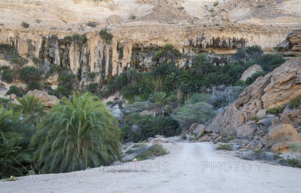 Limestone gorge of Wadi Shuwaymiyah, Dhofar, Oman