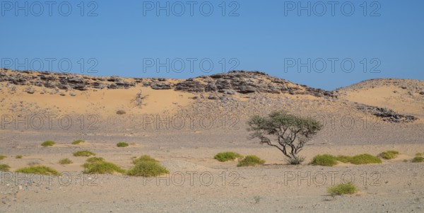 Barren landscape near Duqm, Oman