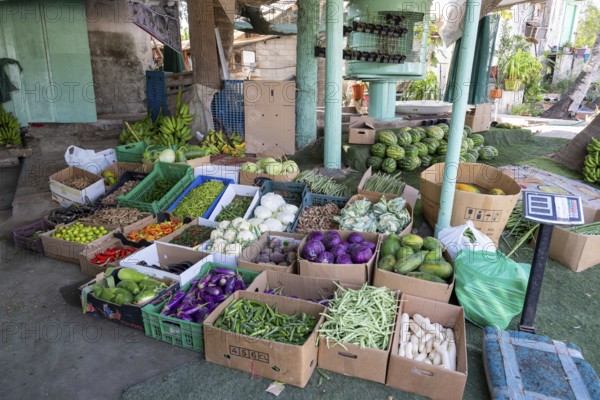 Fruit and vegetable stand, Salalah, Oman