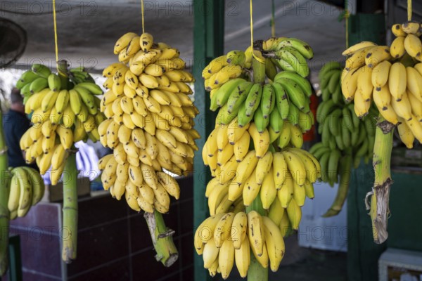 Fruit stand with bananas, Oman
